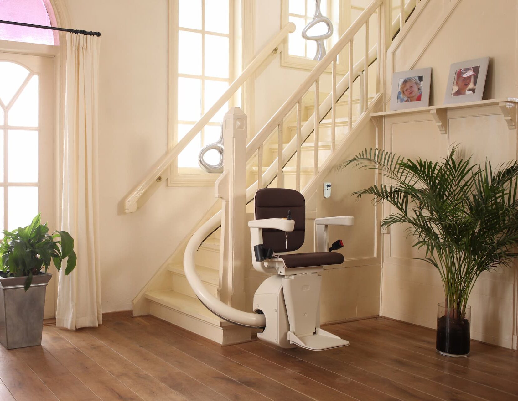 elegance cocoa brown rembrandt